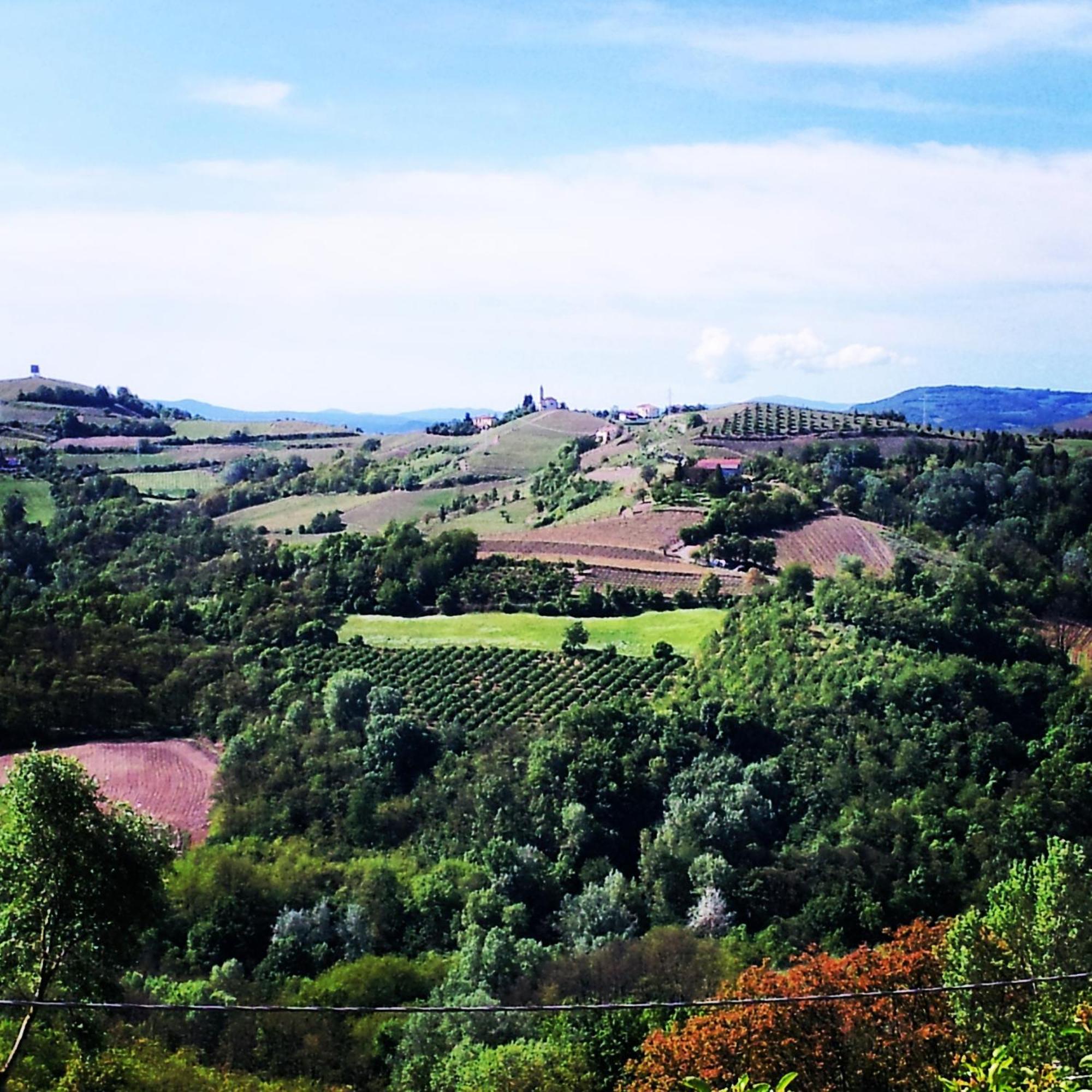 Castel Boglione Bed And Breakfast Val D'Oche المظهر الخارجي الصورة
