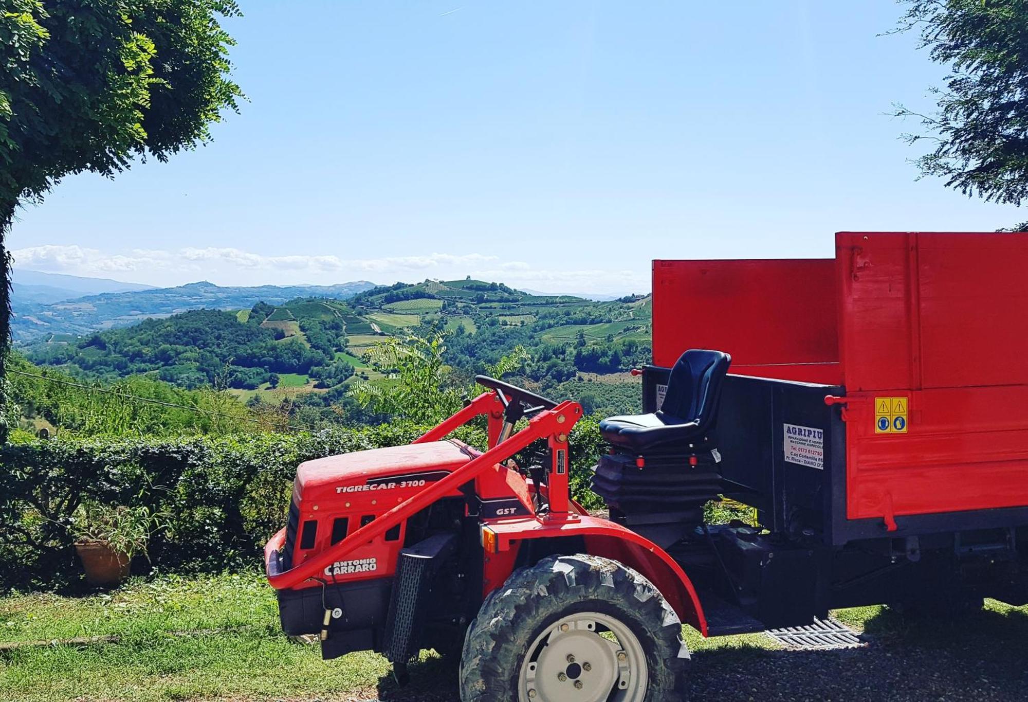 Castel Boglione Bed And Breakfast Val D'Oche المظهر الخارجي الصورة