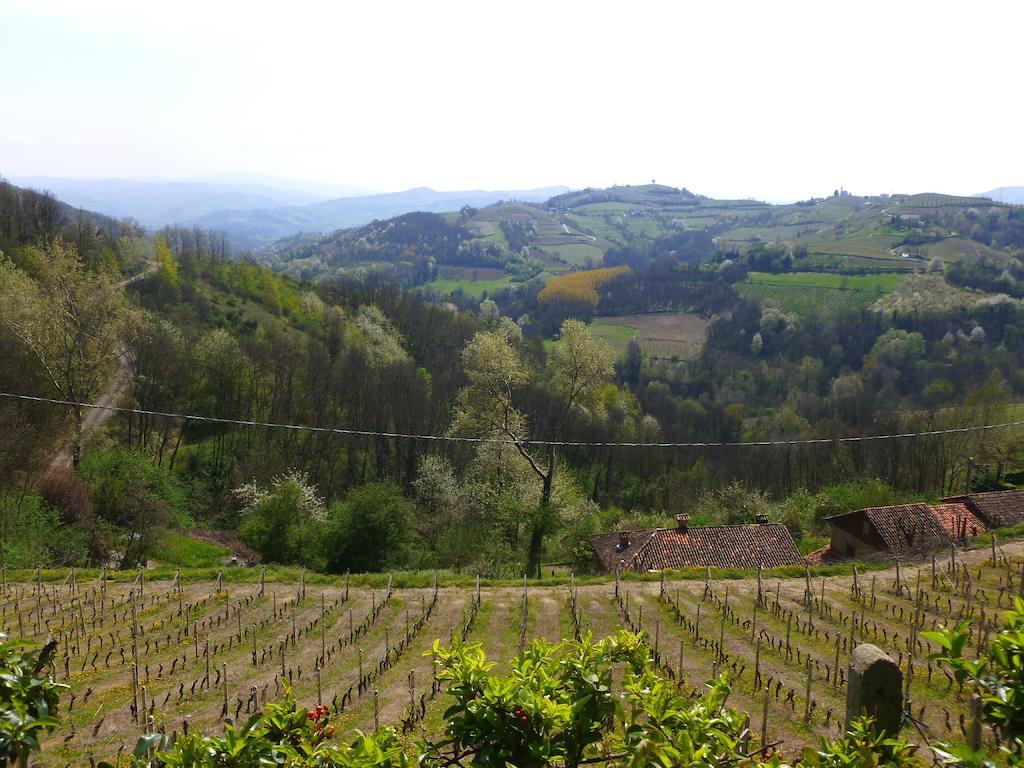 Castel Boglione Bed And Breakfast Val D'Oche المظهر الخارجي الصورة