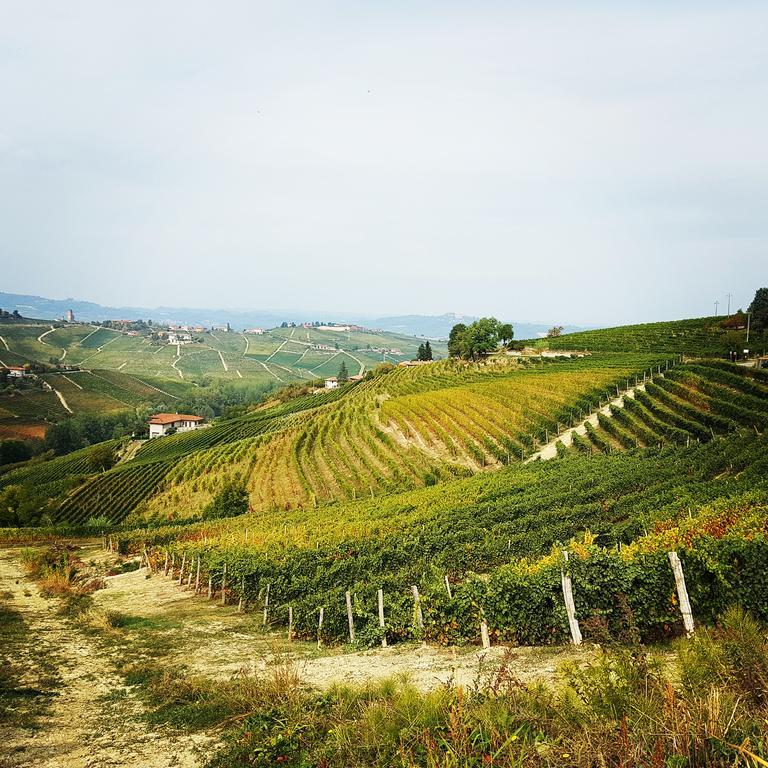 Castel Boglione Bed And Breakfast Val D'Oche المظهر الخارجي الصورة